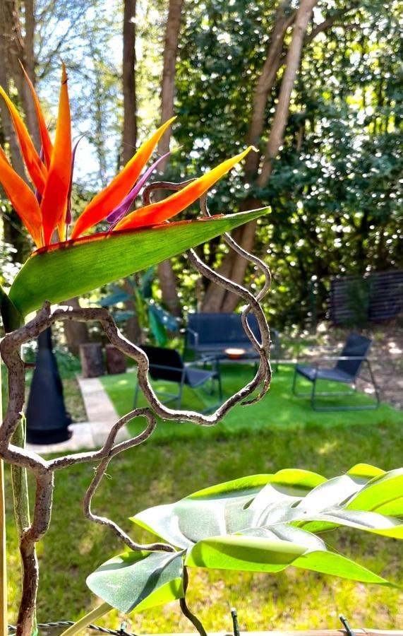 Tiki House M-Home-Climatise - Belle Parcelle ! Saint-Cheron ภายนอก รูปภาพ